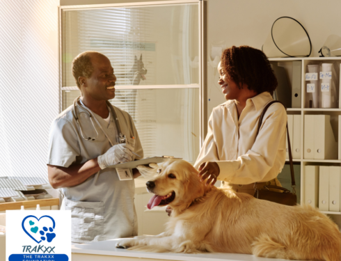 Veterinarian speaking with owner while dog is being cared for