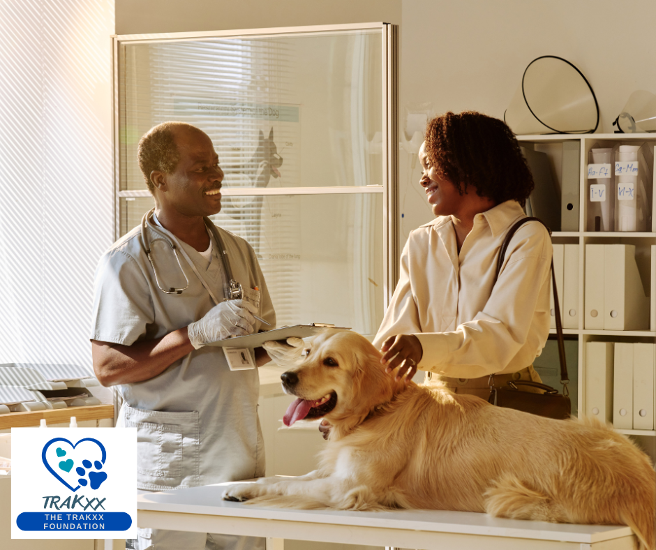 How Do I Choose the Right Veterinarian for my Dog?