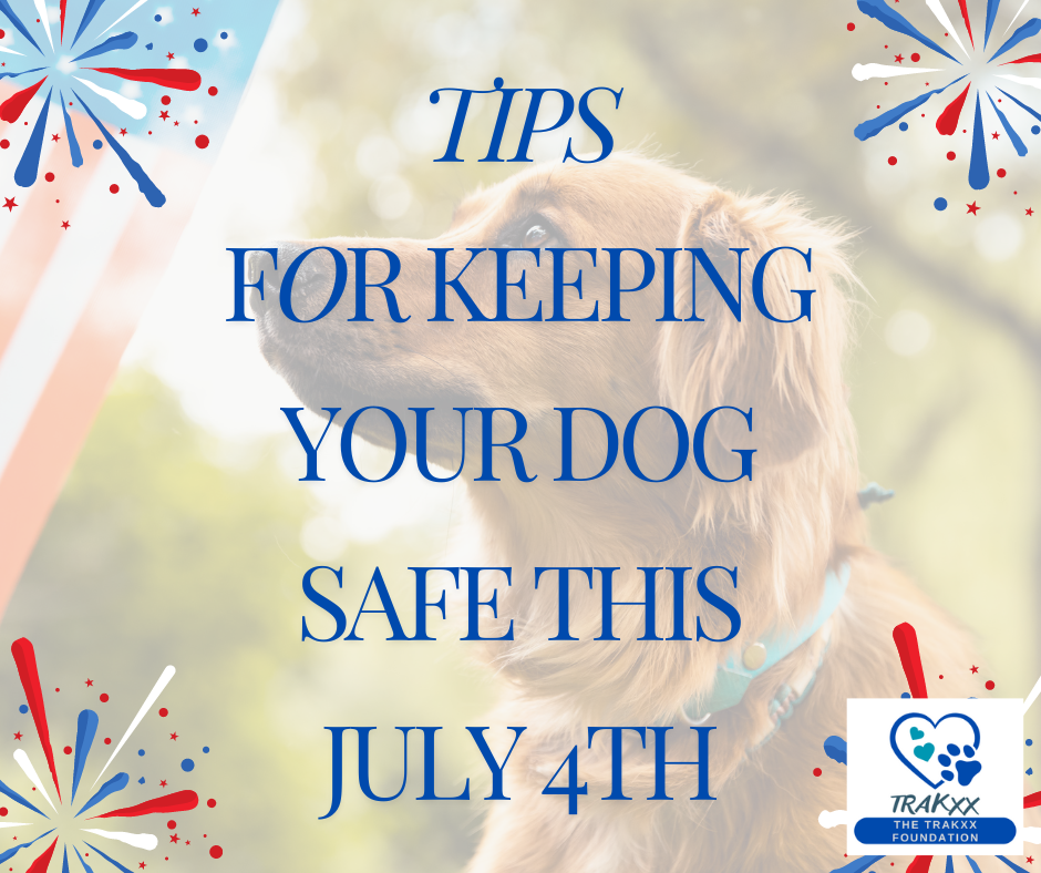 Celebrating the 4th of July: Fireworks and Pet Safety Tips