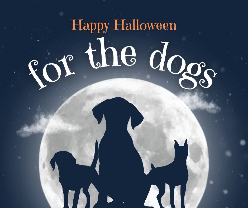 How to Keep Your Dog Safe and Stylish This Halloween: Tips for a Paws-itively Fun Night